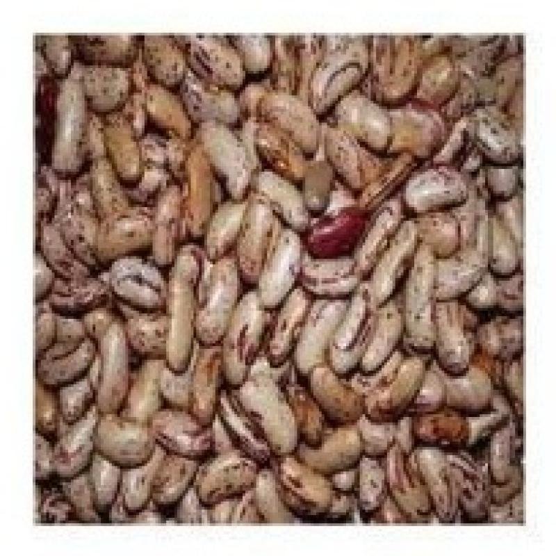 Premium Chitra Rajma