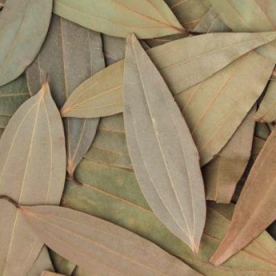 Tej Patta (Bay Leaf)